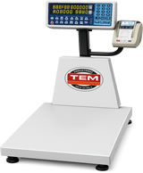 Elektronik Baskül